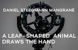 04 Daniel Steegmann Mangrané A Leaf Shaped Animal Draws The Hand
